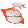Buy online CAS25389-94-0 Kanamycin Monosulfate active powder